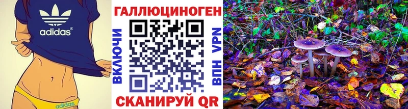 Купить закладки Карпинск Галлюциногенные грибы Psilocybe